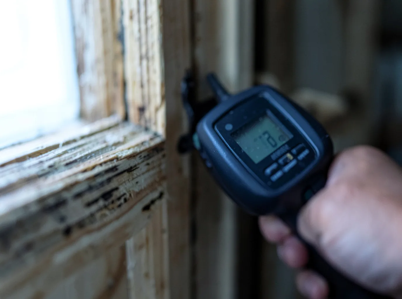 Moisture Inspection And Documentation in Chili, WI